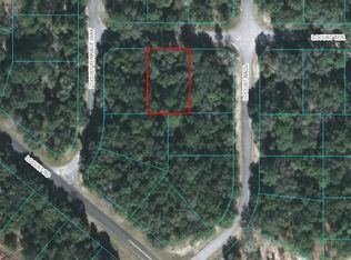 4 Locust Terrace Pl, Ocala, FL 34472