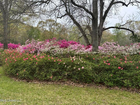 1164 Lower Woodville Rd, Natchez, MS 39120