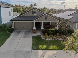 11247 Paddock Manor Ave, Riverview, FL 33569