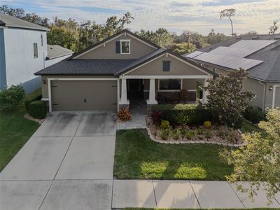 11247 Paddock Manor Ave, Riverview, FL, 33569
