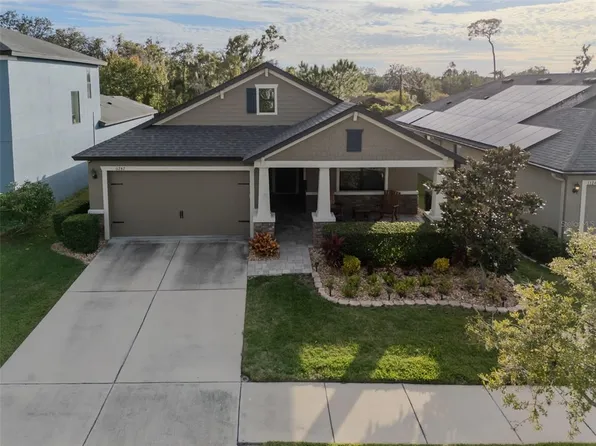 11247 Paddock Manor Ave, Riverview, FL 33569