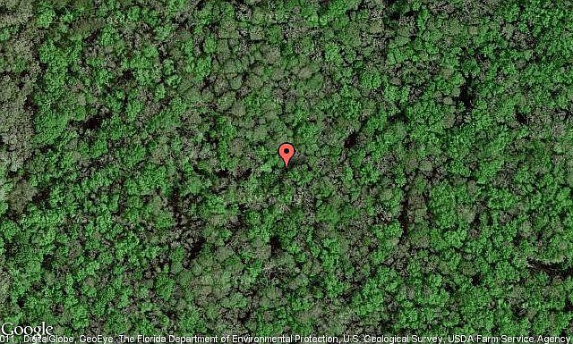 Map View