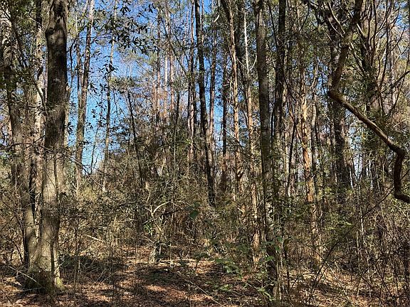 4th image of 0 Spring Lake Dr