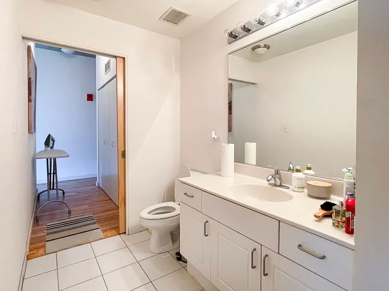 1720 S Michigan Ave #509 — Photo 4