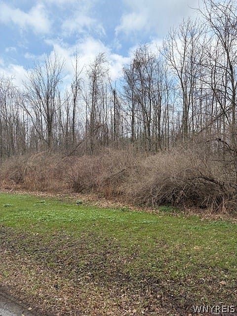 2nd image of 0 McVean Rd