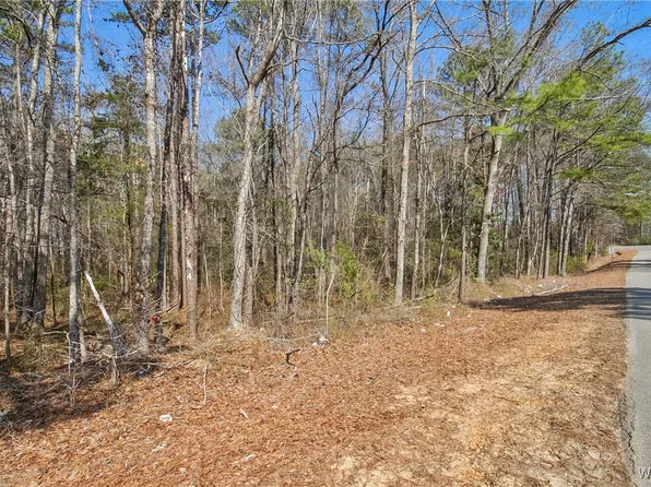 0 Brady Montgomery Rd, Northport, AL 35475