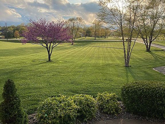 Gorgeous front yard