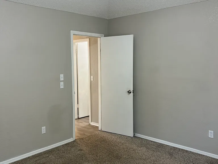 8113 Cinnamon Teal Dr — Photo 5