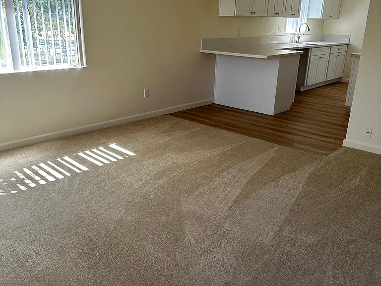 1542 1/2 Diamond St — Photo 2