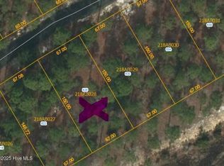 626 Theodora Xing SE, Bolivia, NC 28422