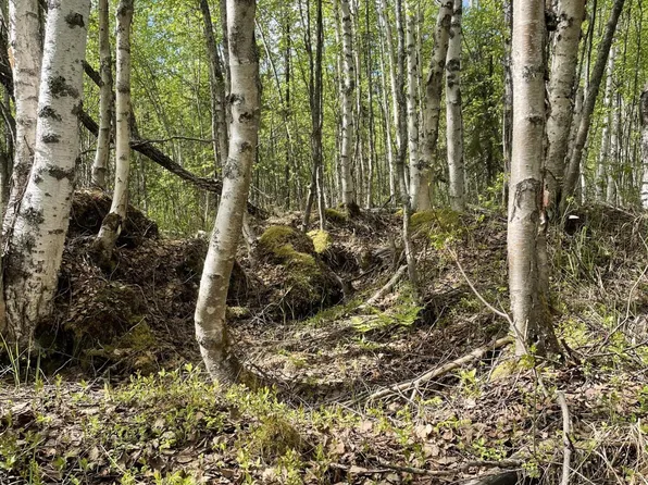 11528 N Michigan St, Willow, AK 99688