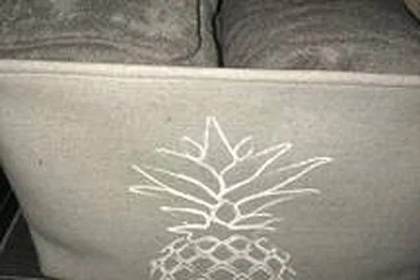 Rented by EF Property Management LLC | media 12