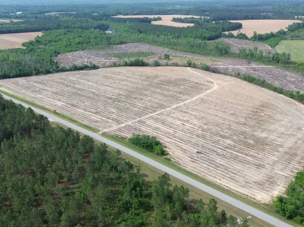 0 Bunn Store Road, Midville, GA 30441