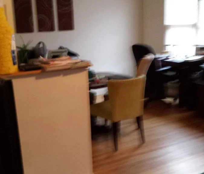 732 W Roscoe St #1S — Photo 13