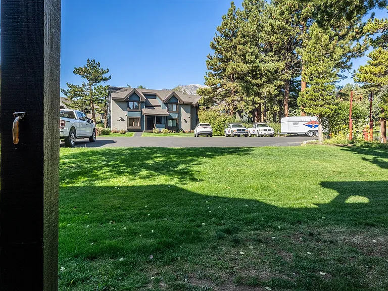 410 White Bark — Photo 45