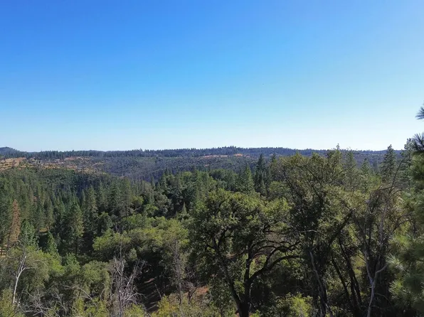 1301 Buck Ln, Rail Road Flat, CA 95248