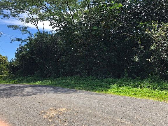2nd image of Paradise Dr