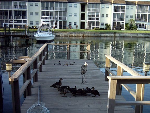 dock