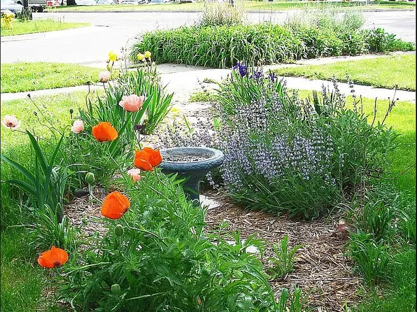 502 N River St, Ypsilanti, MI 48198