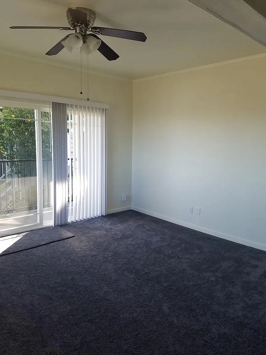 1617 Francis Street #A - 1 — Photo 3
