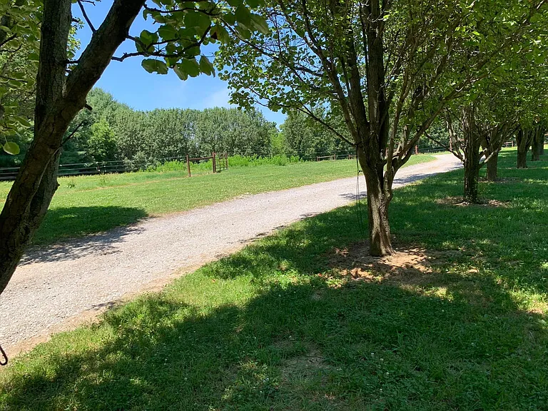 Jennie Ln — Photo 4