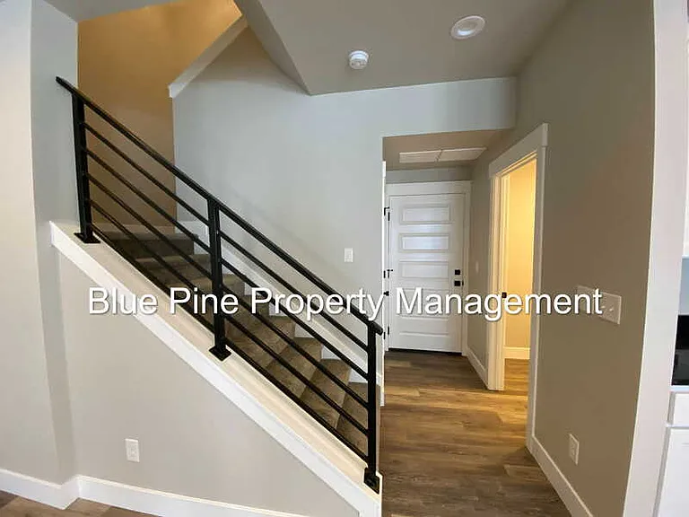 2890 Sunburst Dr — Photo 6