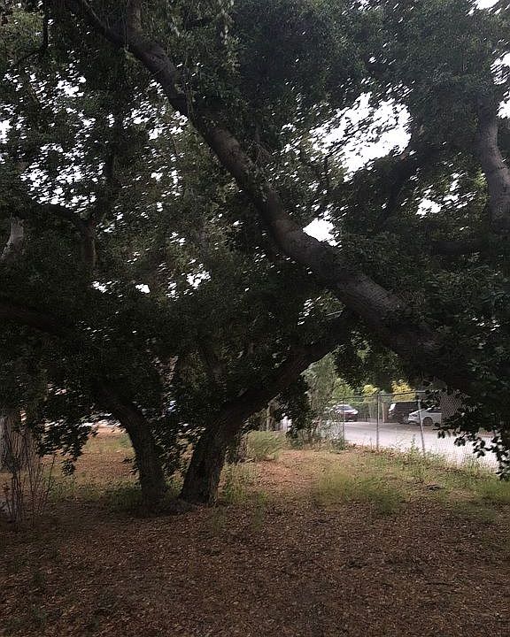 1st image of 24708 Choke Cherry Ln