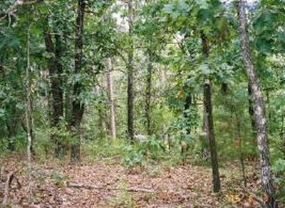Lot 6 East 86 Highway, Blue Eye, MO, 65611