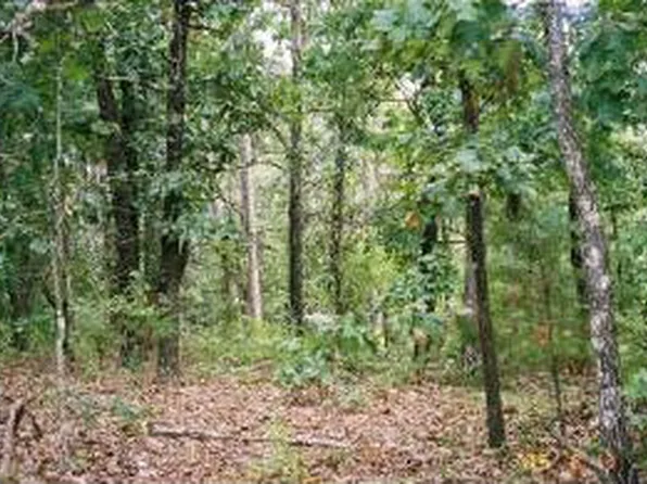 Lot 6 East 86 Highway, Blue Eye, MO 65611