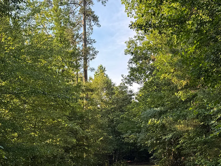 2540 Blackwolf Run Ln #1 — Photo 42