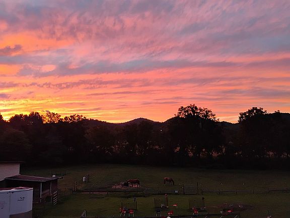 3rd image of 365 Haughton Williams Rd