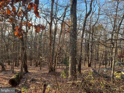 Alta Vista Dr, Harpers ferry, WV, 25425