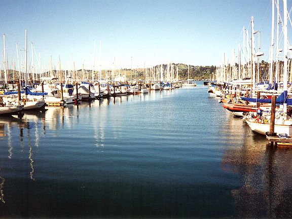 Tiburon harbor