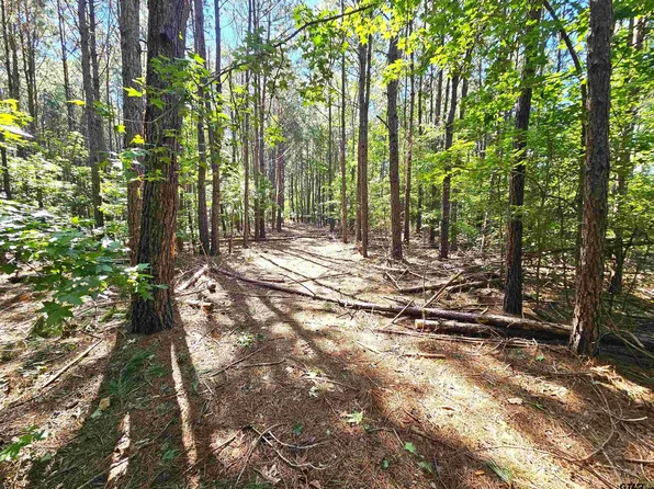 County Road 222 N, Henderson, TX 75652