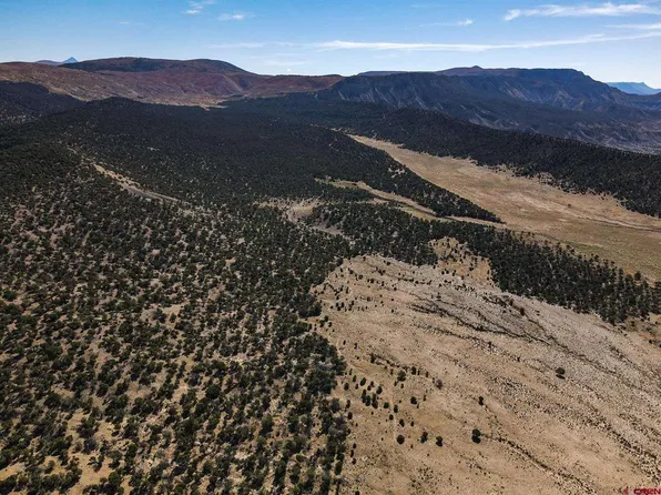 7676 County Road 28T, Norwood, CO 81325