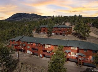 303 Virginia Road #E, Bailey, CO 80421