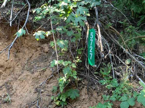 5727 Starkes Grade Rd, Pollock Pines, CA 95726