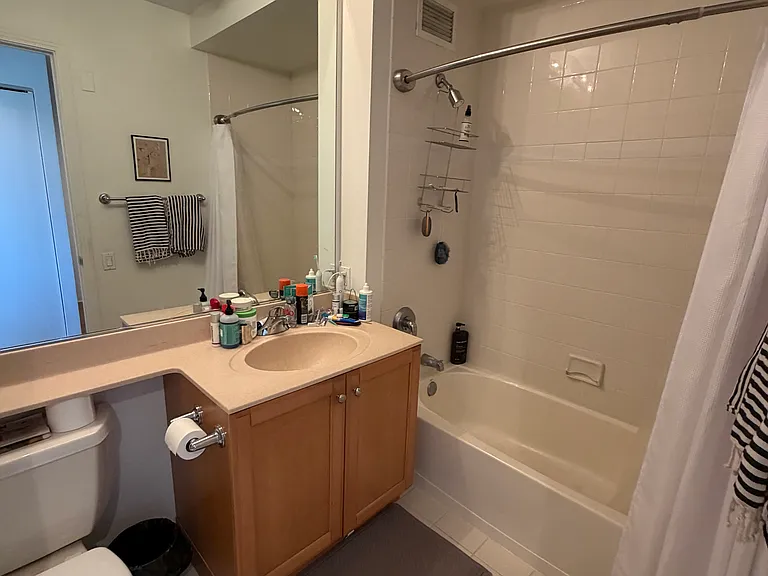 400 N Lasalle St #4212 — Photo 14