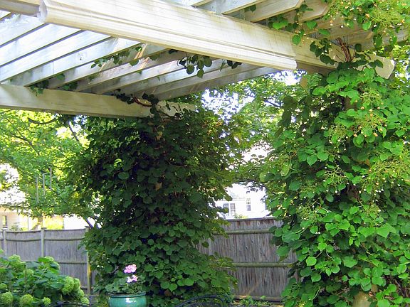Side Patio
