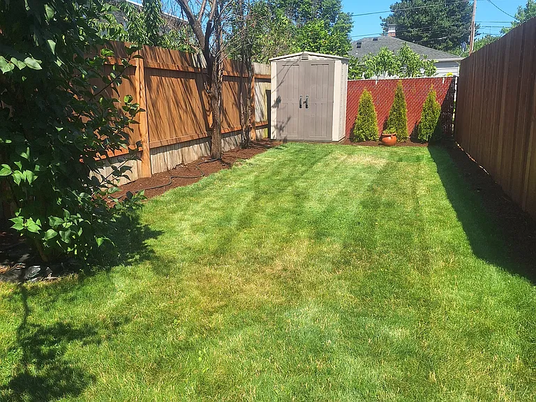 Lawn and shed