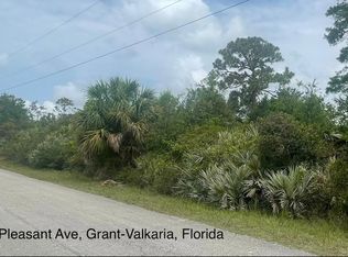 4660 Mount Pleasant Ave, Grant, FL 32949