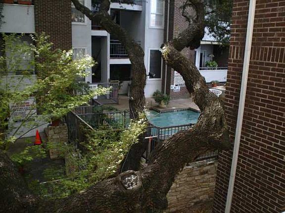 4th image of 700 S 1st St APT 208