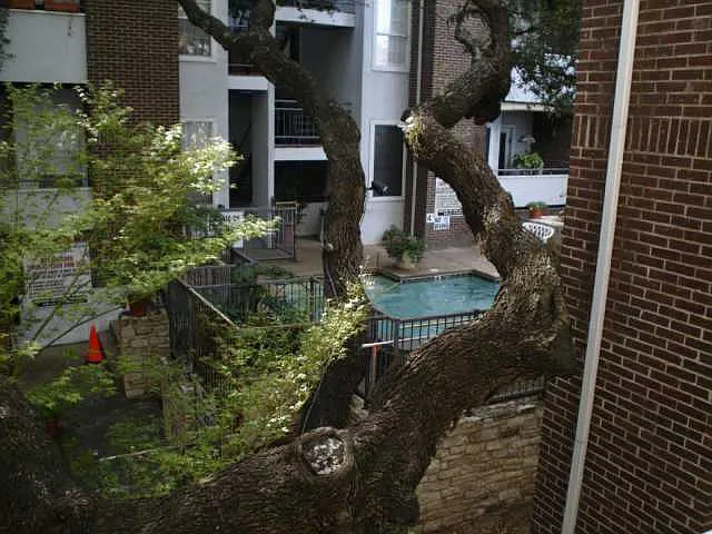 700 S 1st St #208 — Photo 4
