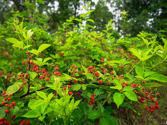 11th image of this home