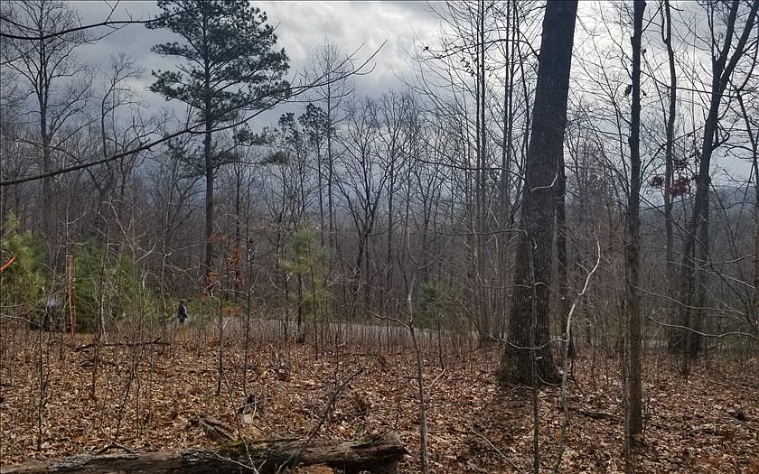 1st image of 6 Crestwood Vw