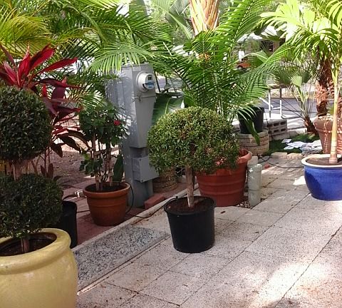private yard