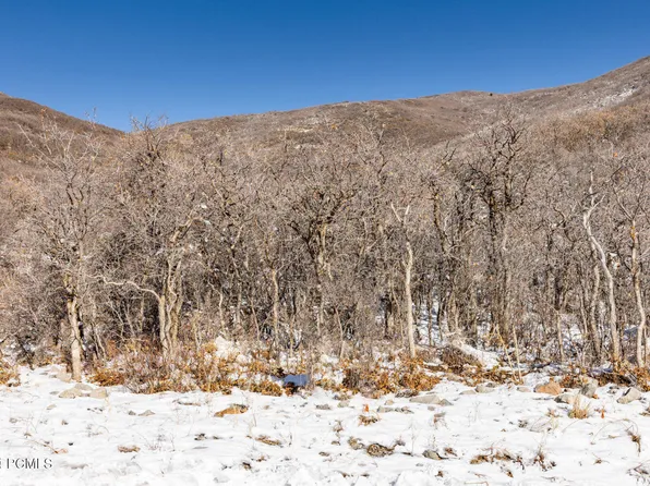 11632 N Fox Hollow Ct, Hideout, UT 84036