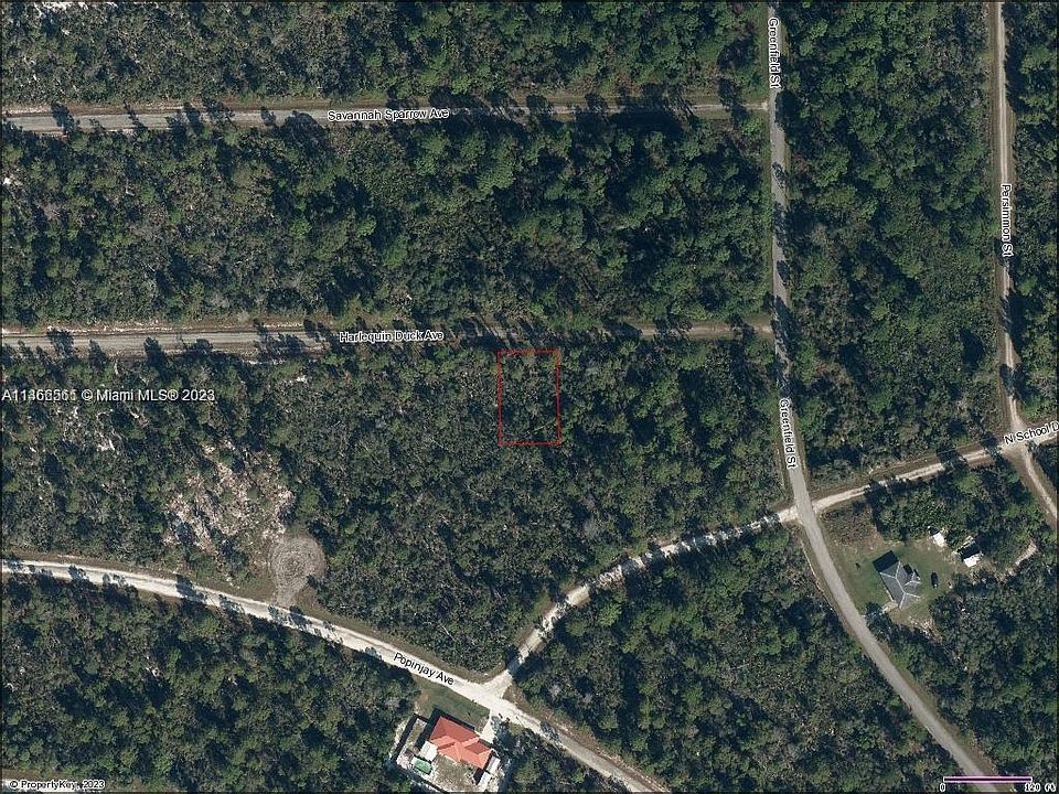 2nd image of 3206 Harlequin Duck Ave