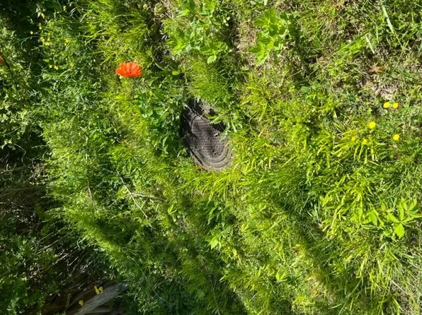 235 Hightop Rd, Midway, TN 37809