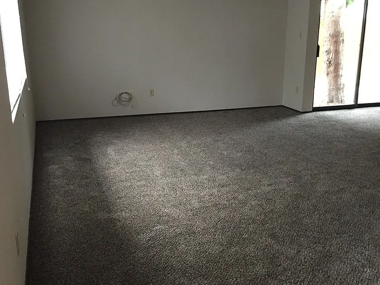 1205 Ivy Ave — Photo 8